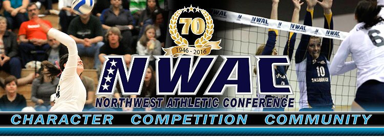 volleyball-2 volleyball-2